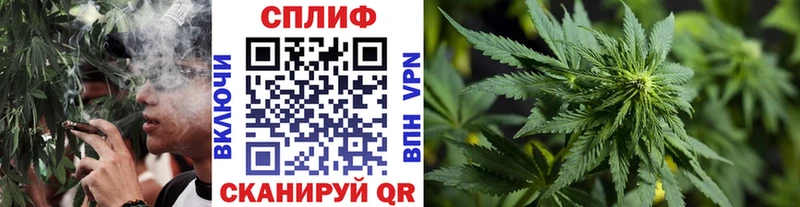 Бошки марихуана тримм  Солигалич 